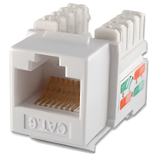 AC CAT 6 I/O